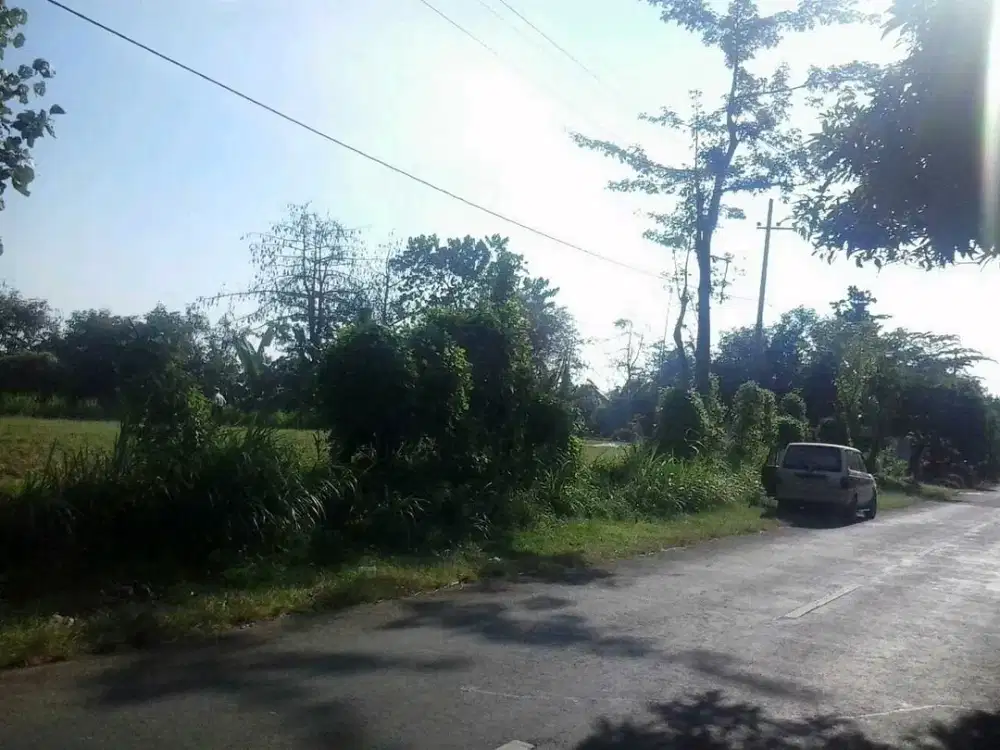 DIJUAL TANAH LAWEAN SUKAPURA PROBOLINGGO RON.A3015