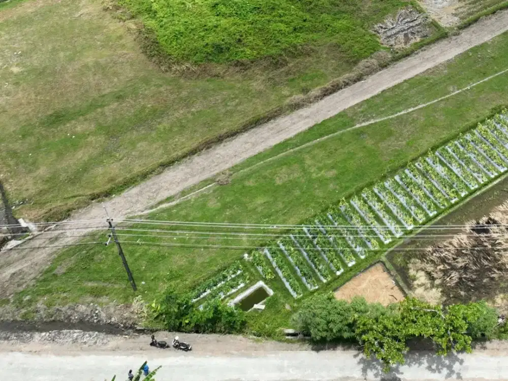 Tanah Pekarangan di Area Mapolda DIY, Bisa Tempo