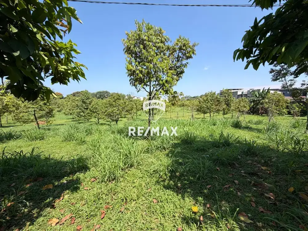 Dijual tanah dipinggir jalan raya serpong, puspitek, kota tangerang selatan