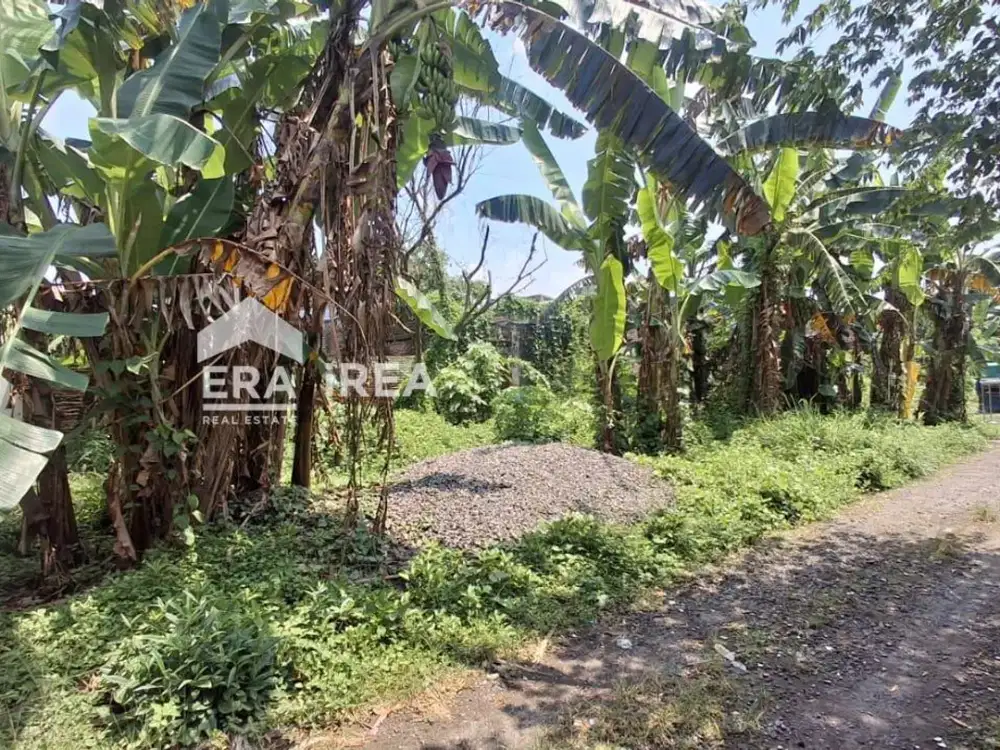 TANAH DIJUAL DI SOLO BARAT DEKAT UIN RADEN MAS SAID SURAKARTA DAN PASAR KARTASURA