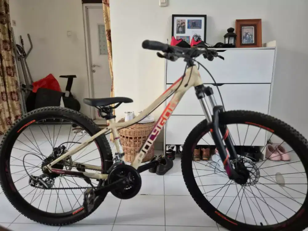 Jual sepeda Polygon masih bagus