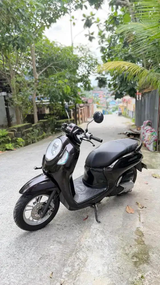 Scoopy New Stylish 2022
