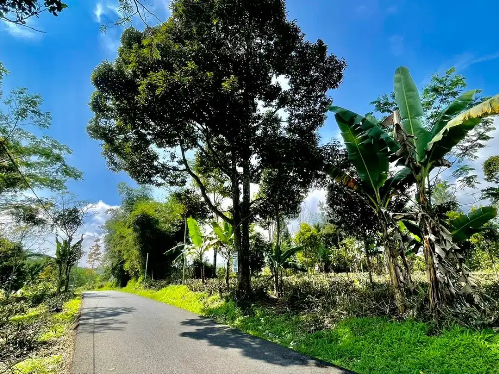 Tanah 9362 m2 Pinggir Jalan Pemandangan Bagus Purwakarta Dijual Murah