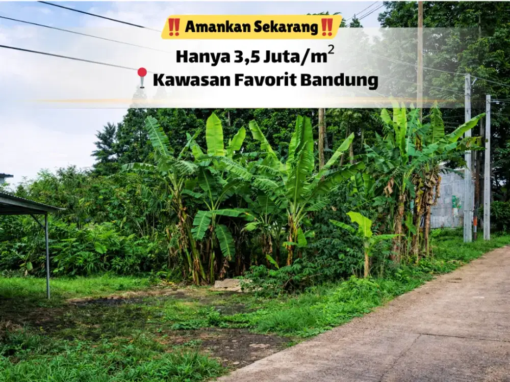 Dicari Banyak Orang! Tanah Strategis Sayap Setiabudi