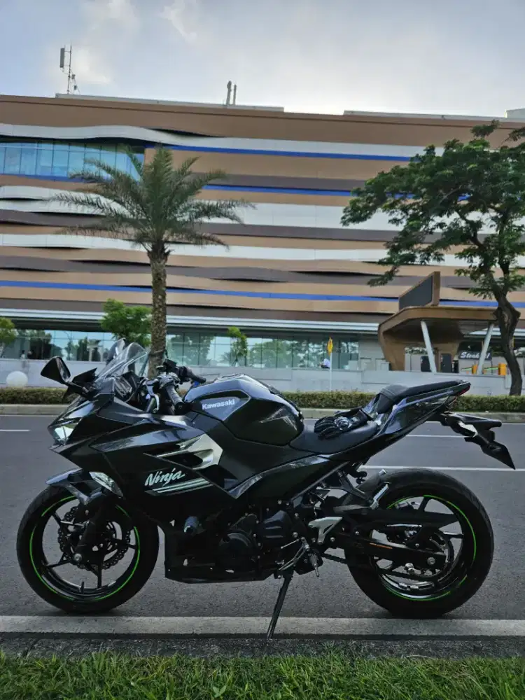 NINJA 250 F1 2022