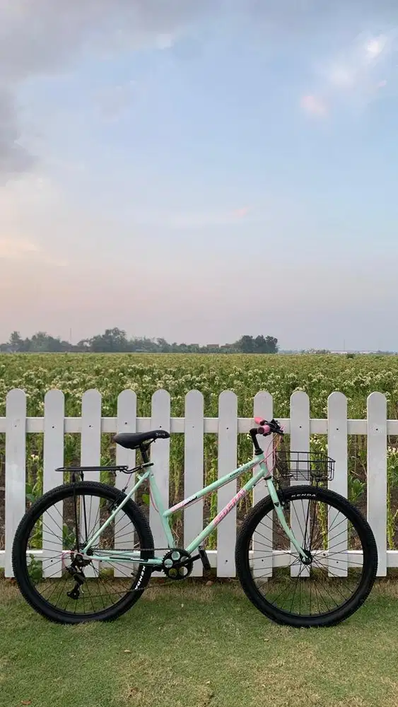 Sepeda federal lady hijau mint