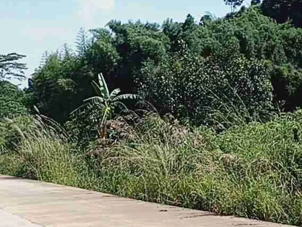 Dijual Tanah dekat Hambalang Golf. Jl. Puncak 2