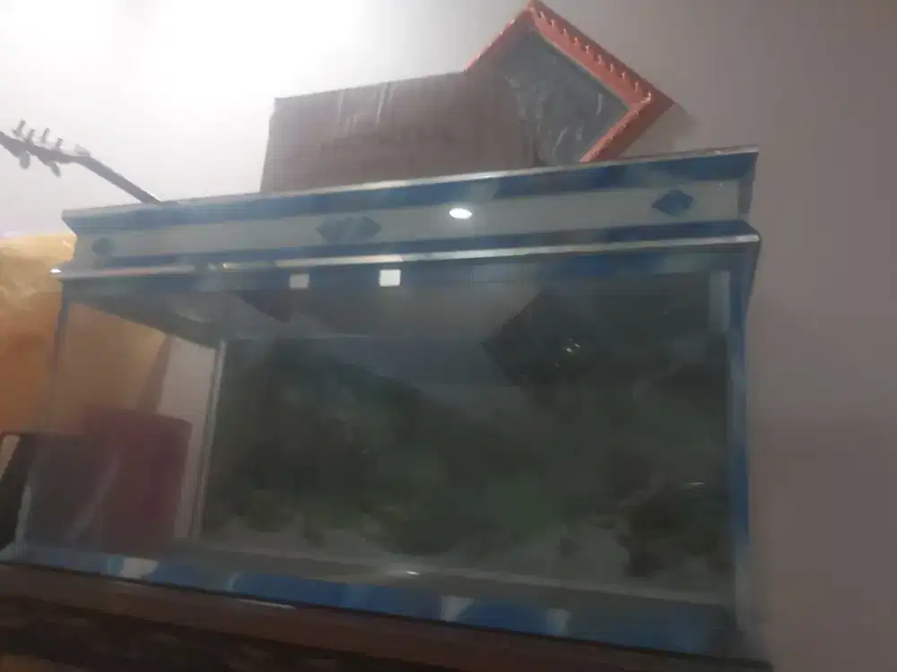 Di jual aqurium baru