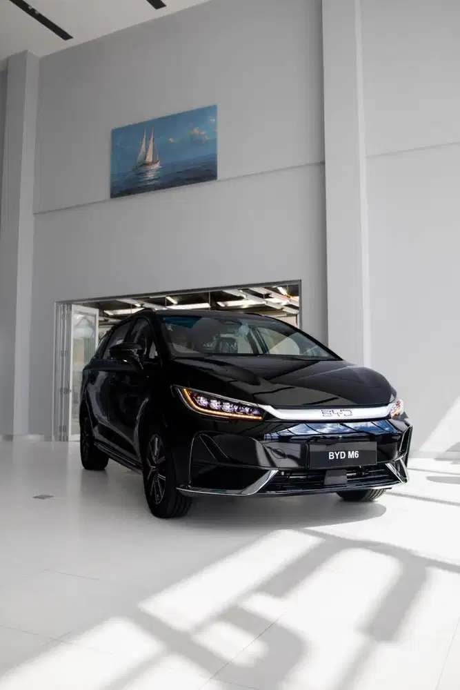 BYD BIPO M6 STANDAR/SUPERIOR