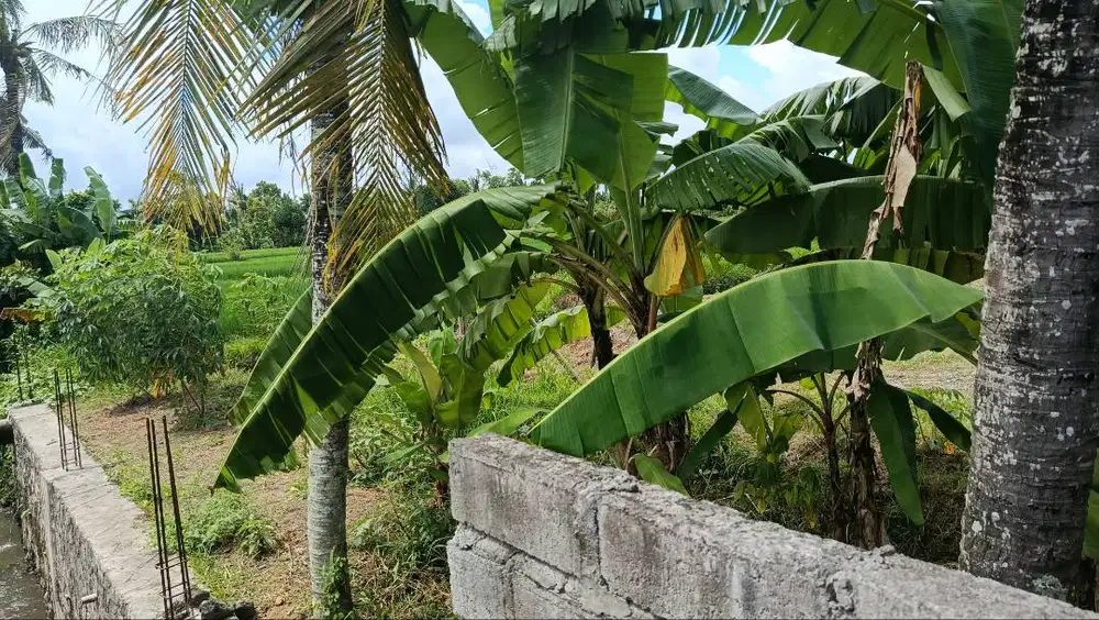 Dijual tanah daerah strategis