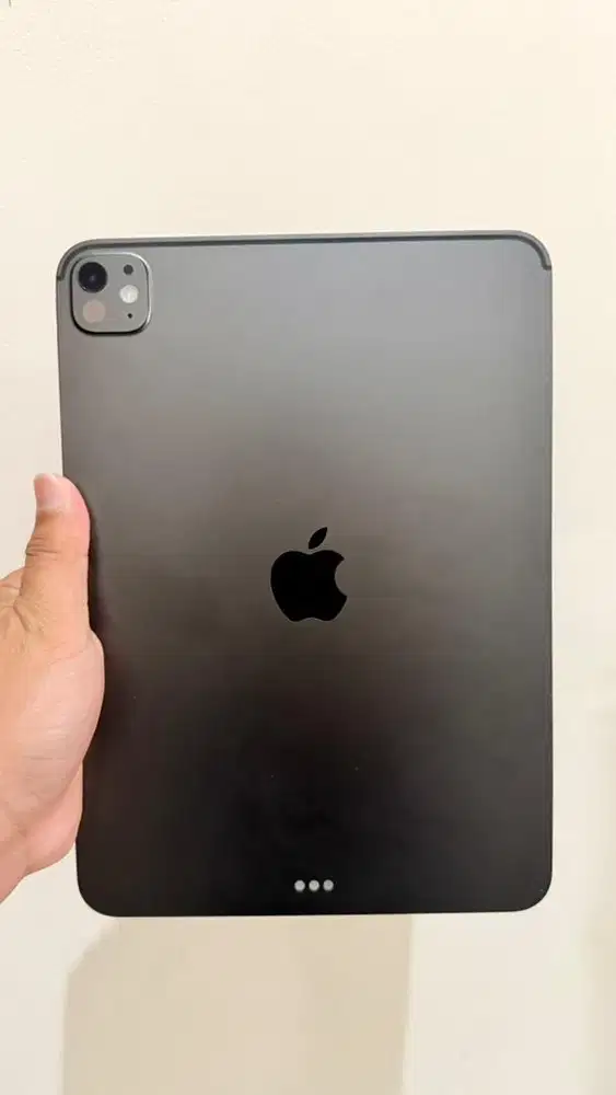 Ipad pro m4 256gb
