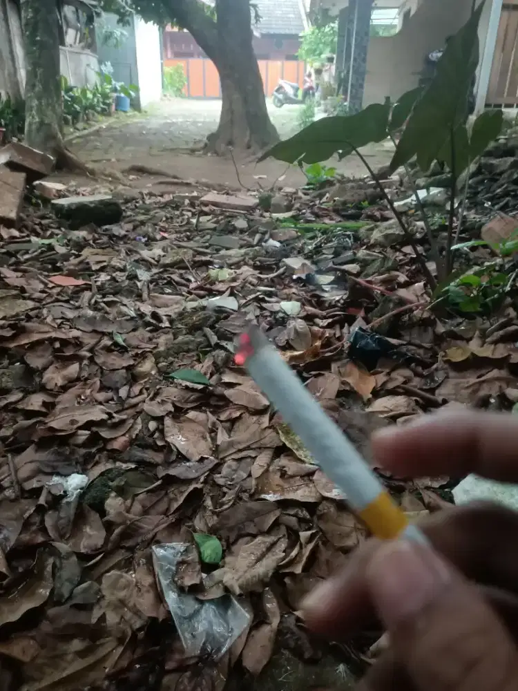 cari pekerjaan apa saja