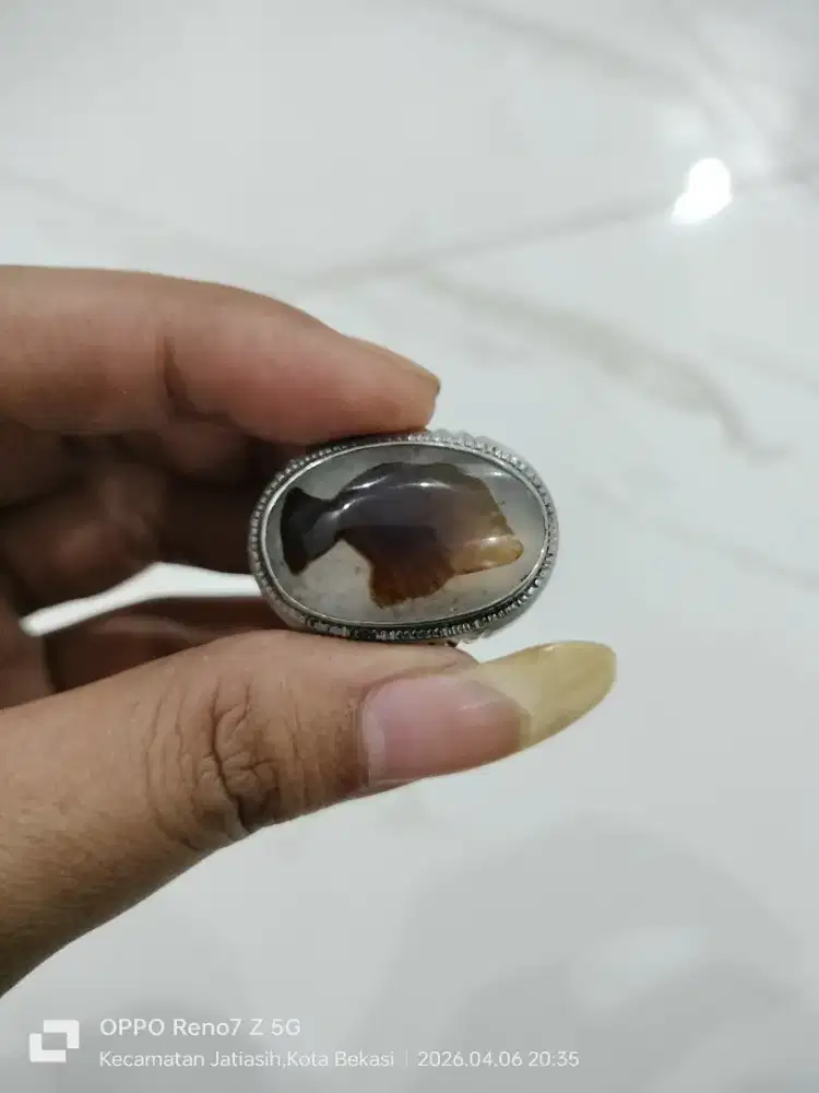 Batu gambar ikan ( yakut putih )