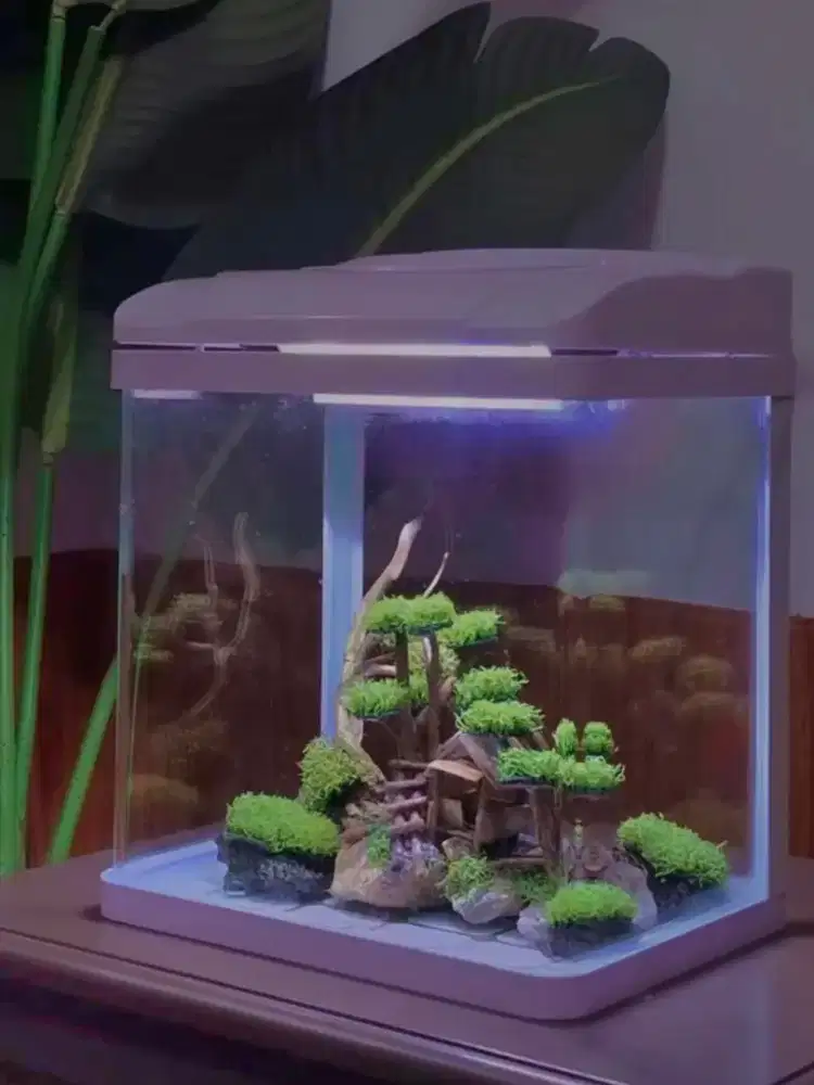 Aquarium full set