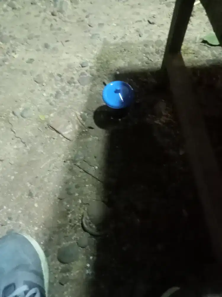 Bangunan borong dan harian