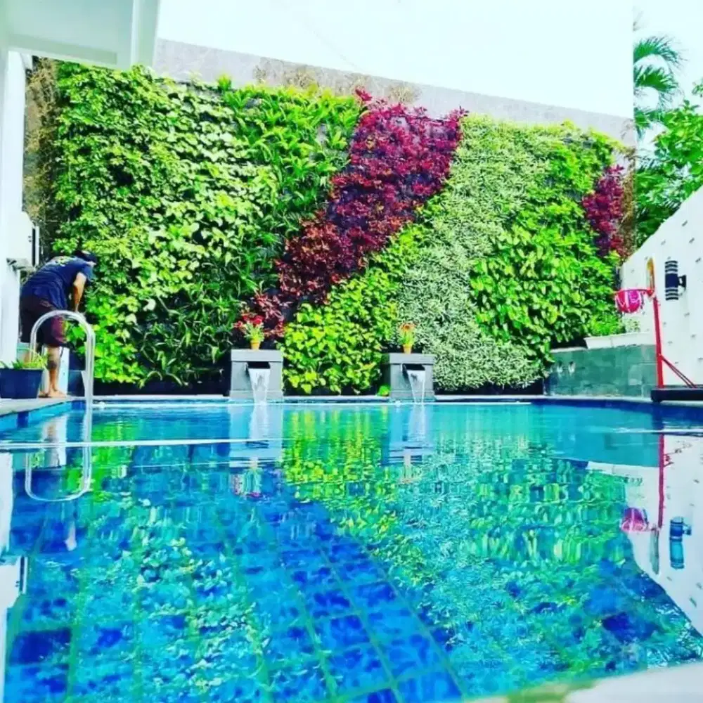 Vertical garden graha