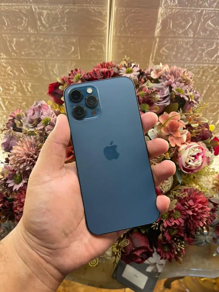 Iphone 12 Promax 128gb Beacukai