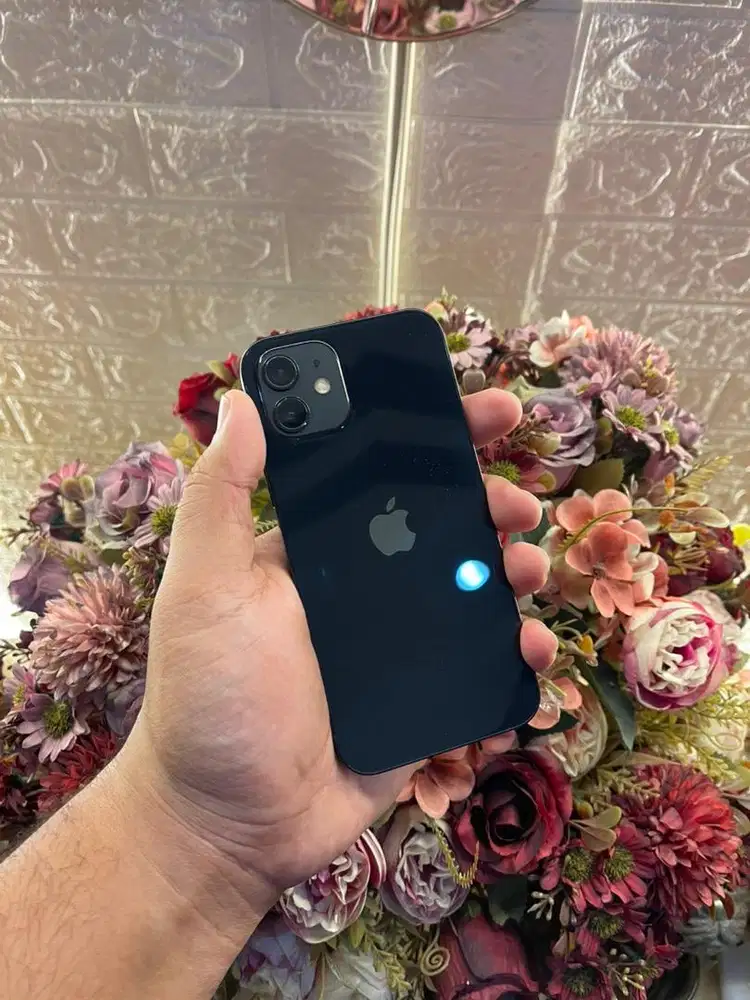 Iphone 12 128gb All Operator