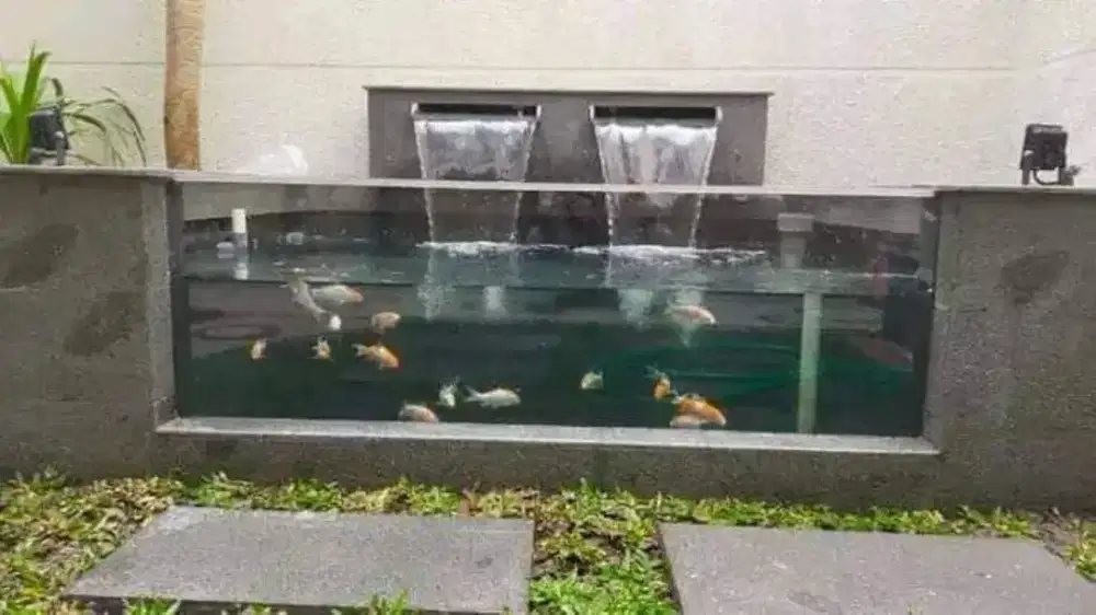Tukang kolam ikan koi
