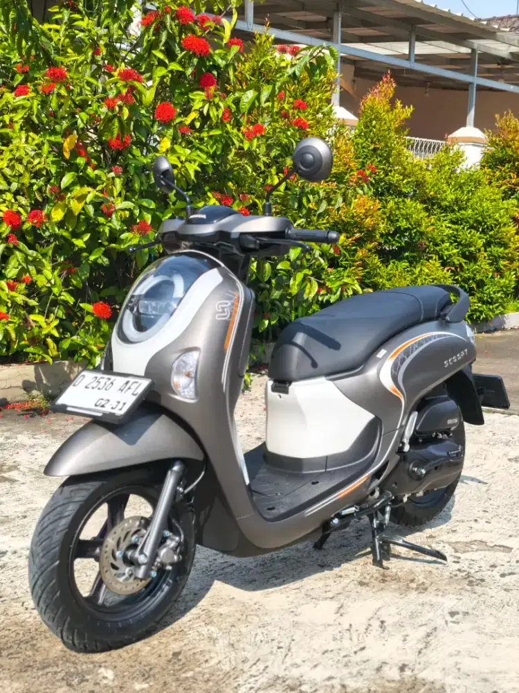 Scoopy Brown White Like New KM1000
