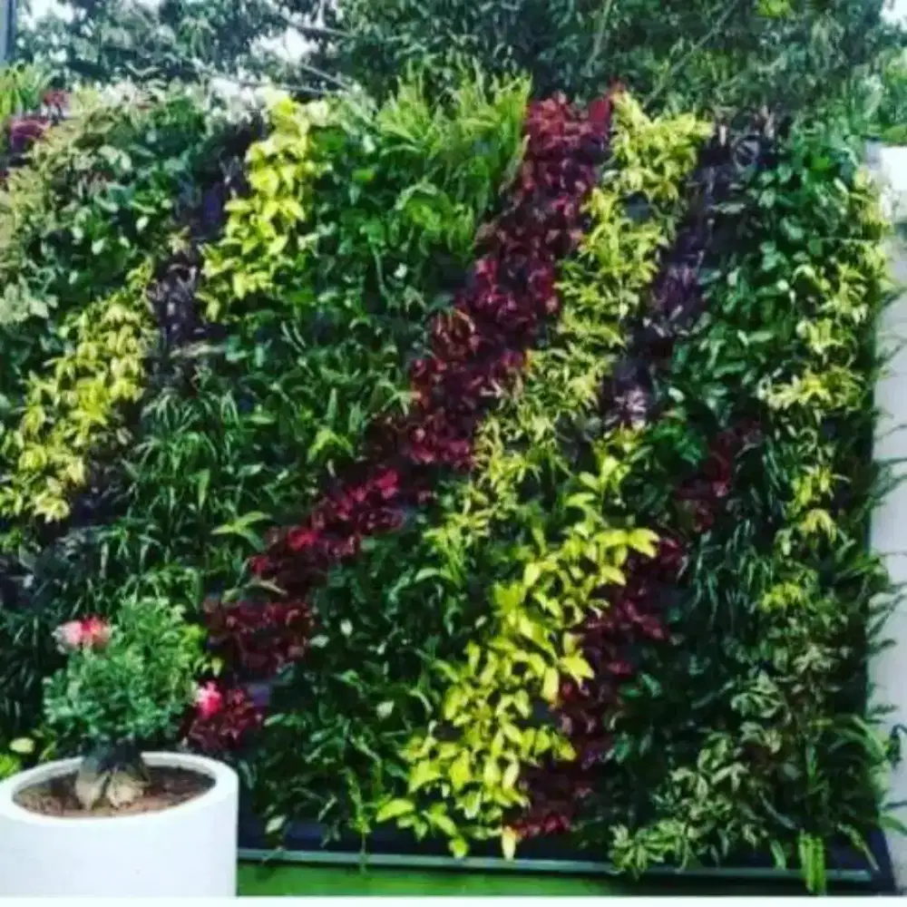 Vertical garden surabaya