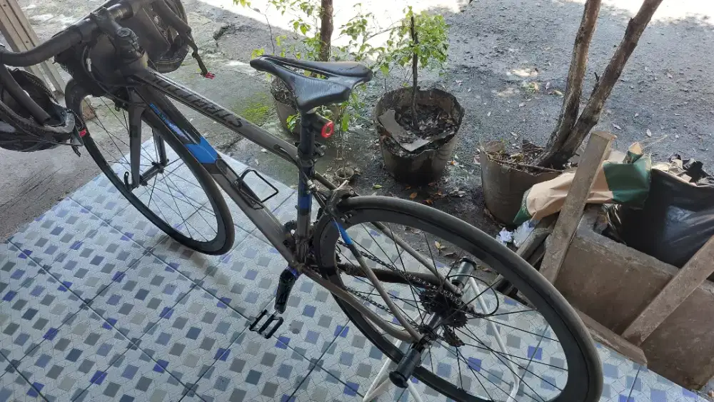 Roadbike Polygon Strattos S2