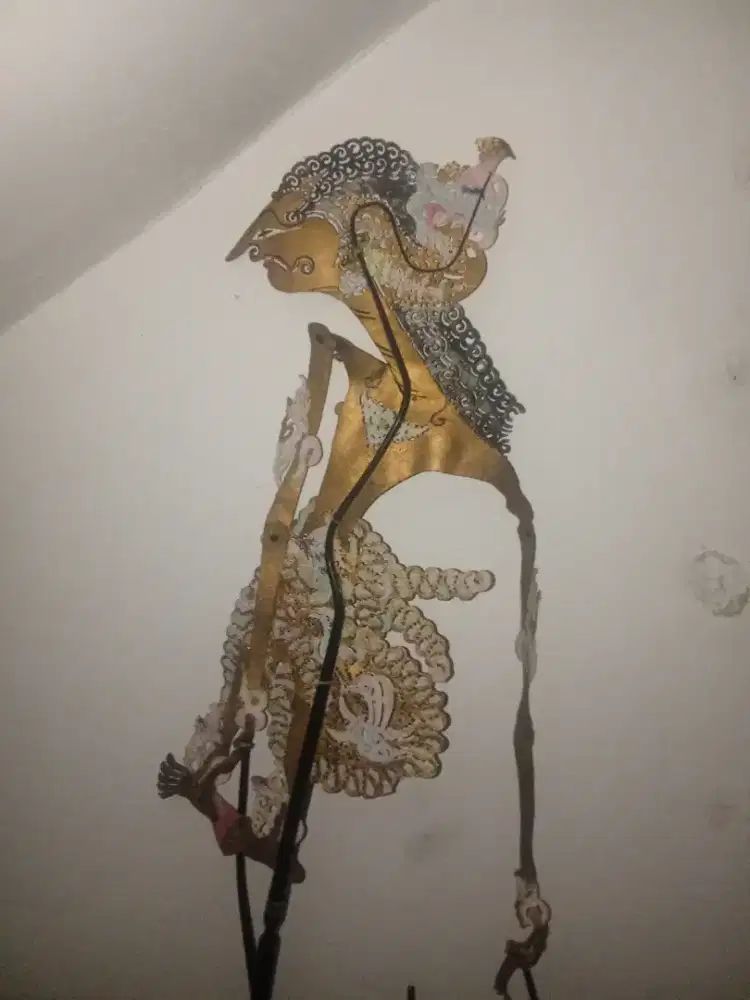 Wayang kulit asli