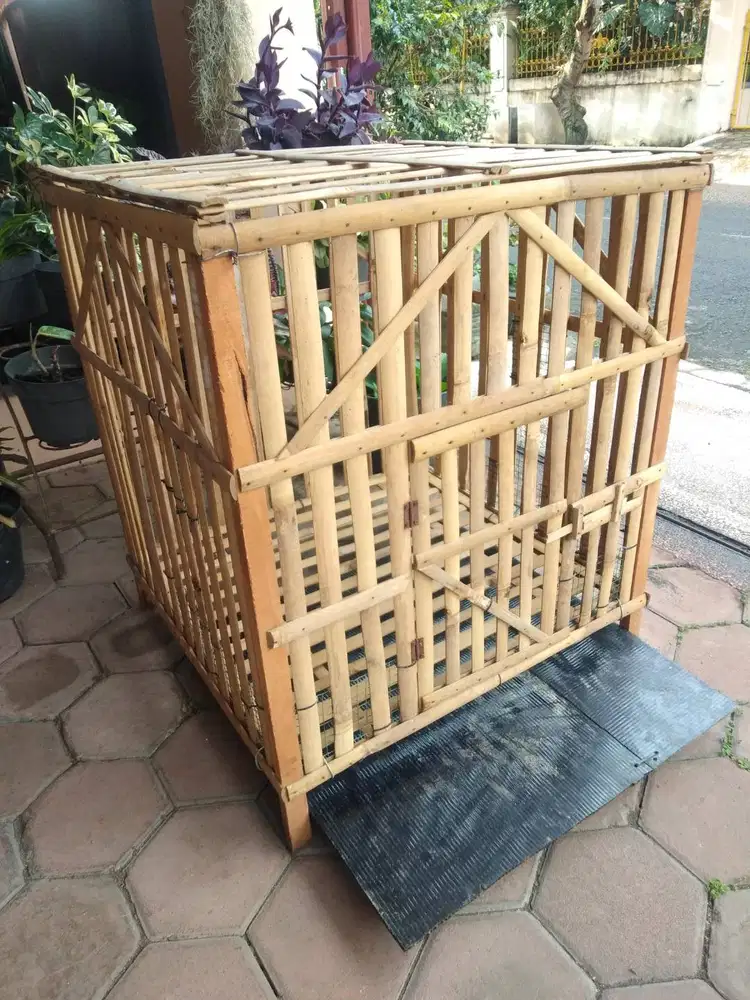 Kandang Bambu Ayam Jago Bangkok Box Kotak Kubus