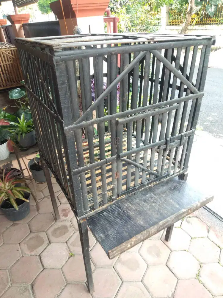 Kandang Bambu Ayam Jago Bangkok Box Kotak Kubus