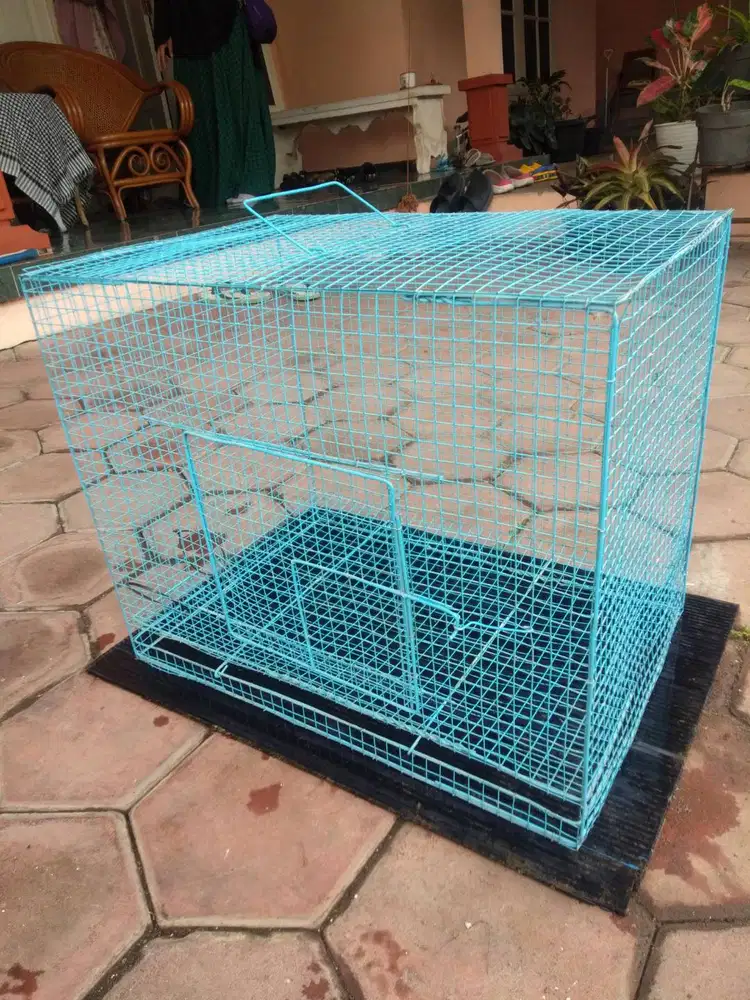 Kandang Kucing Anjing Burung Hamster Kelinci Reptil Ayam Serba Guna