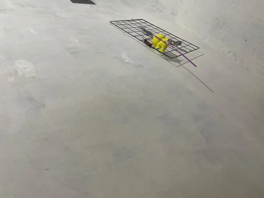 Dicari momong anak 2,7 tahun