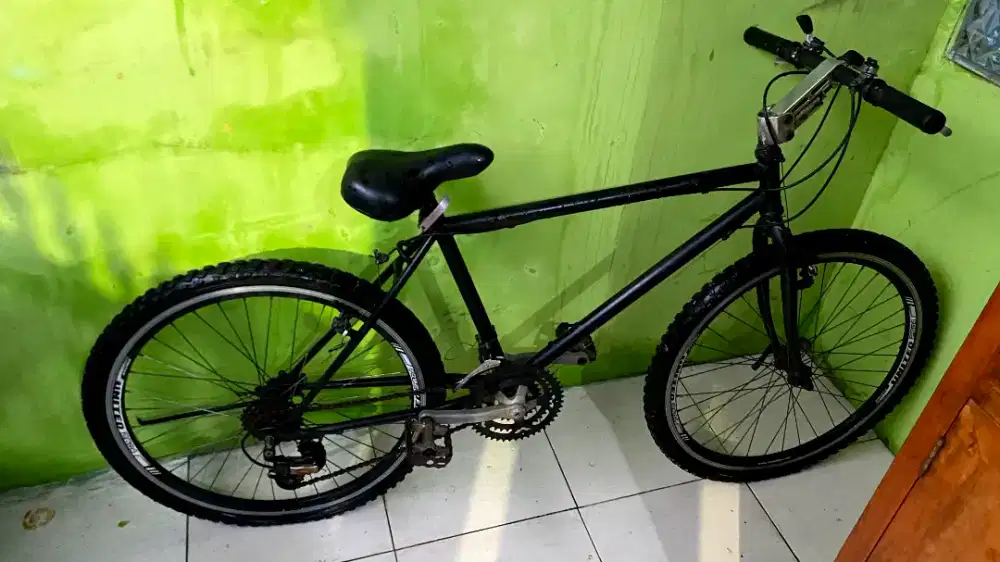 sepeda santai united