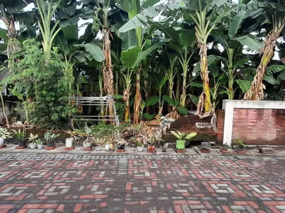 Dijual Tanah Kavling Siap Bangun Strategis Padat Kost Dekat Kampus UPN Lokasi Medayu Utara Surabaya