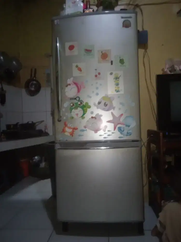 Kulkas panasonic 2 pintu besar