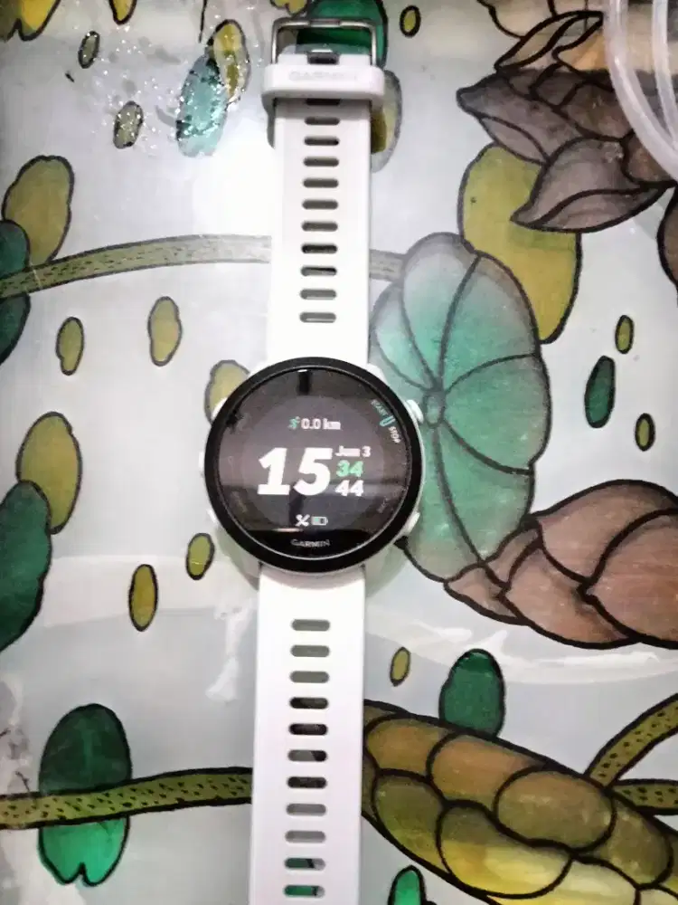 Smartwatch garmin forerunner 55 white