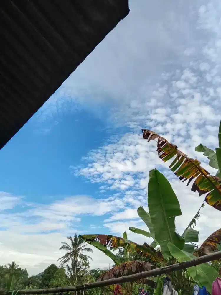 Mencari Lowongan kerja (art)