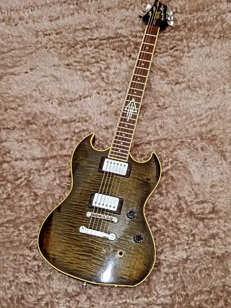 Gitar Elektrik Radix Raven