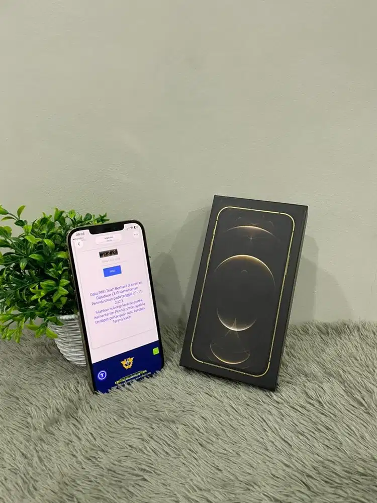 IPhone 12 ProMax 256GB Gold mulus Fullset BH 88% Imei Bea Cukai