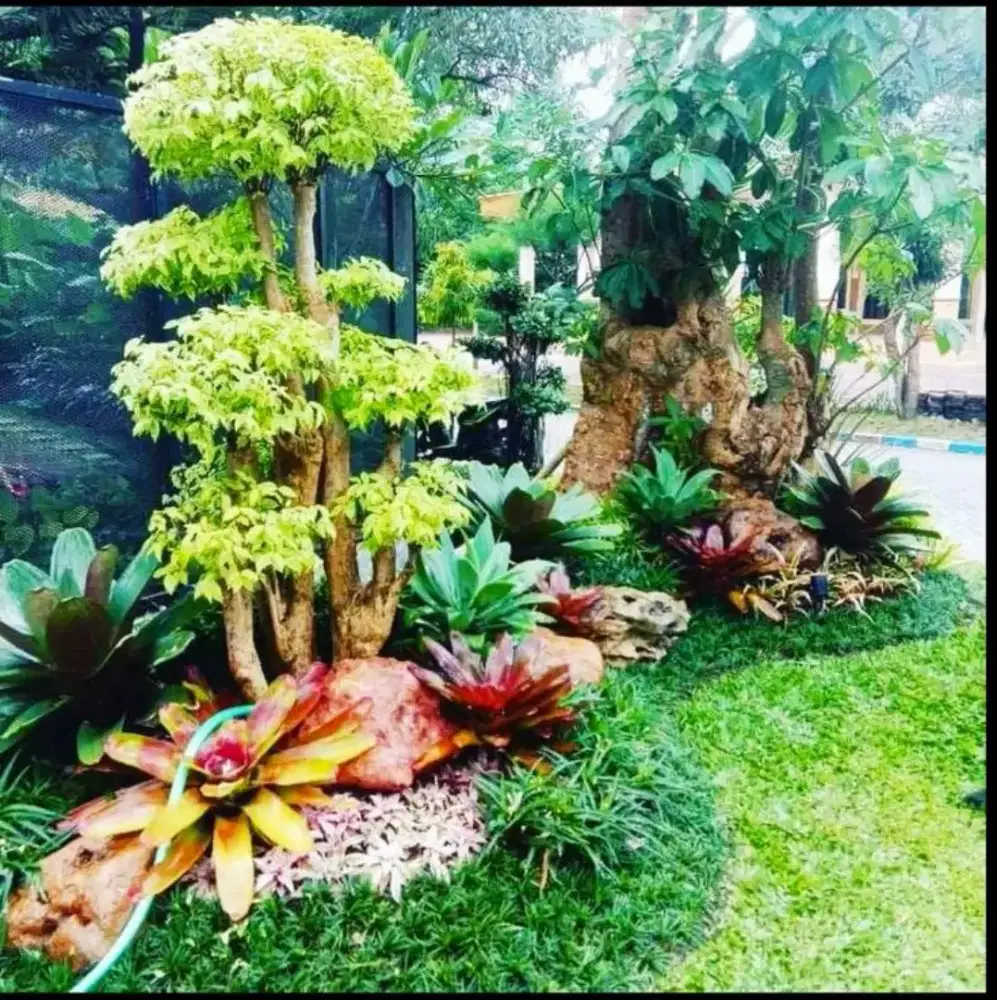 Tukang taman surabaya