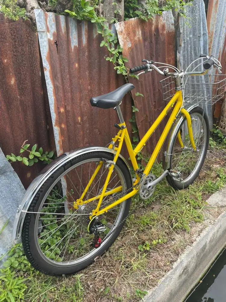 Sepeda commuter federal lady 26