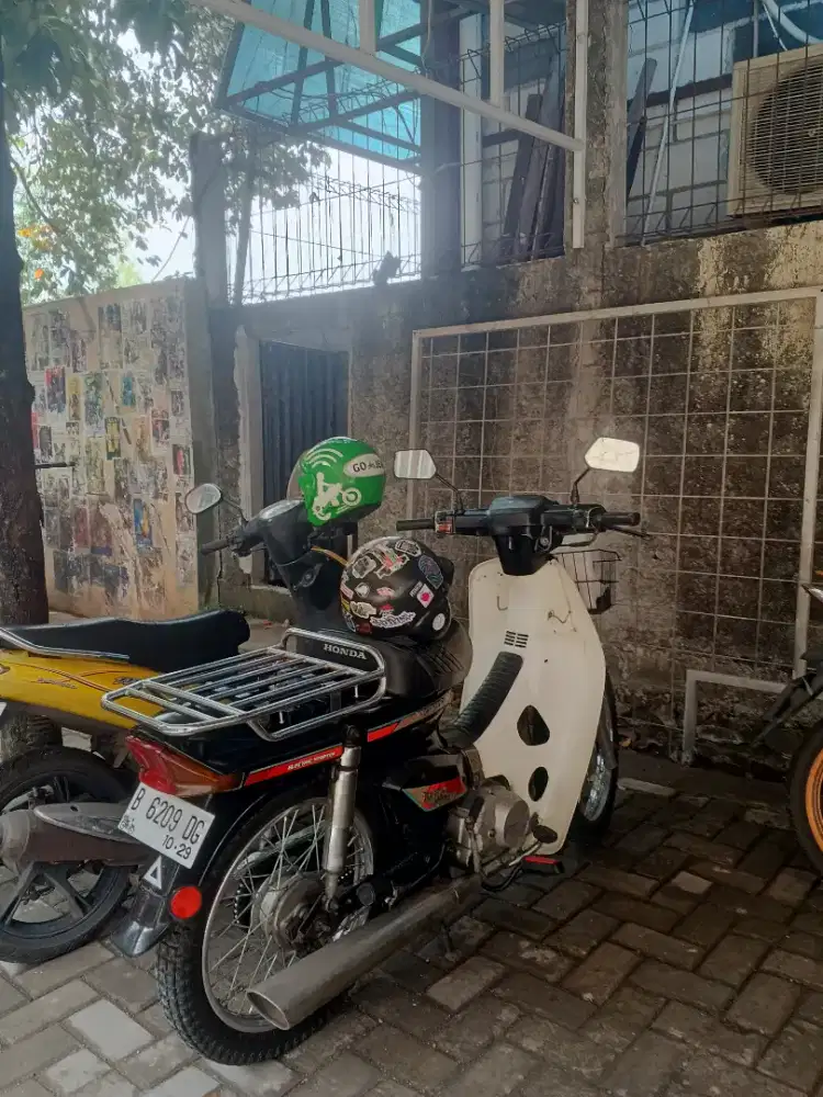 Astrea prima Thun 91.