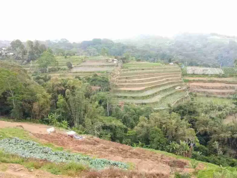 Tanah Murah 0 Jln Raya Baturiti Bedugul Tabanan, Cocok Untuk Investasi

Lokasi Strategis : 

0 Jalan Raya

View  Pegunungan Bedugul + Terace Rice Field

Cocok Untuk Hotel, Tempat Wisata & Resto

Lingkungan Aman

Spesifikasi :

Luas Tanah : 27.940m²

SHM
