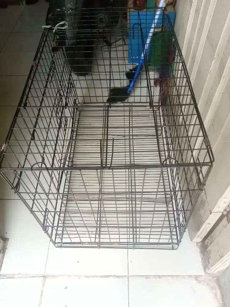 Kandang kucing besar