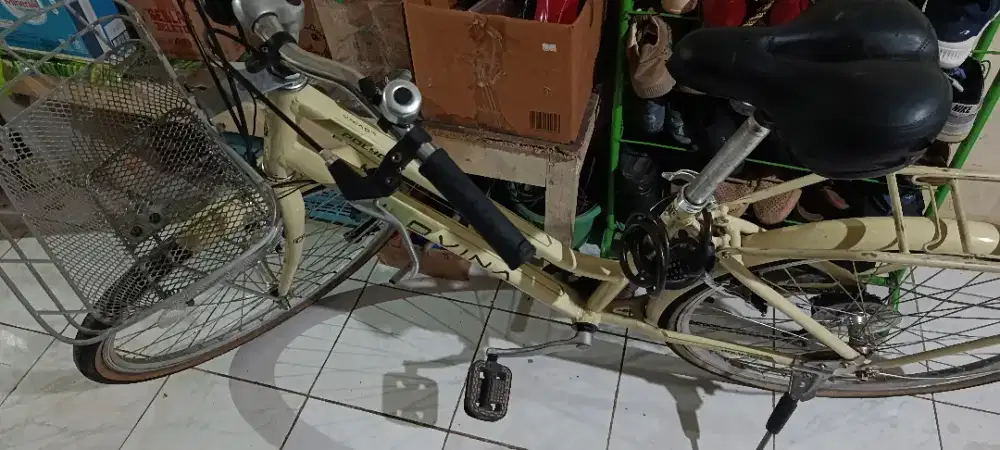 Sepeda polygon lovina