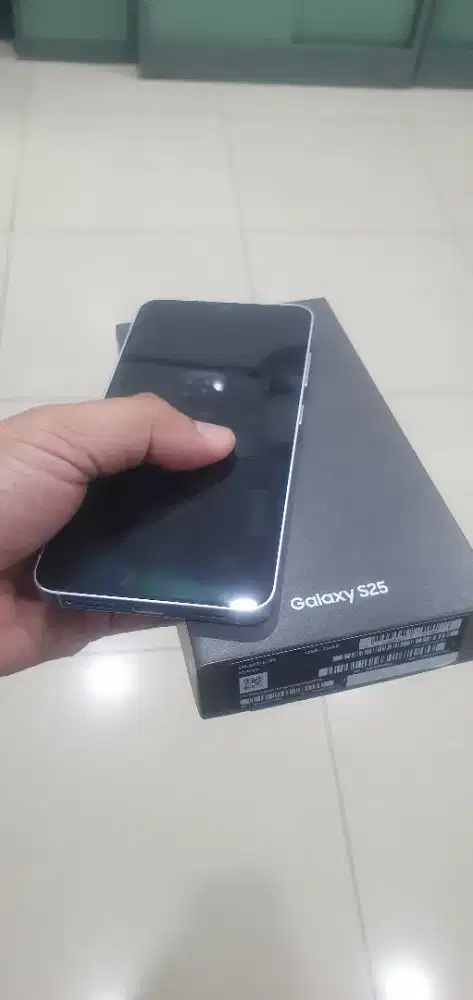 Jual Samsung S25 Basic 12/256 Ice Blue