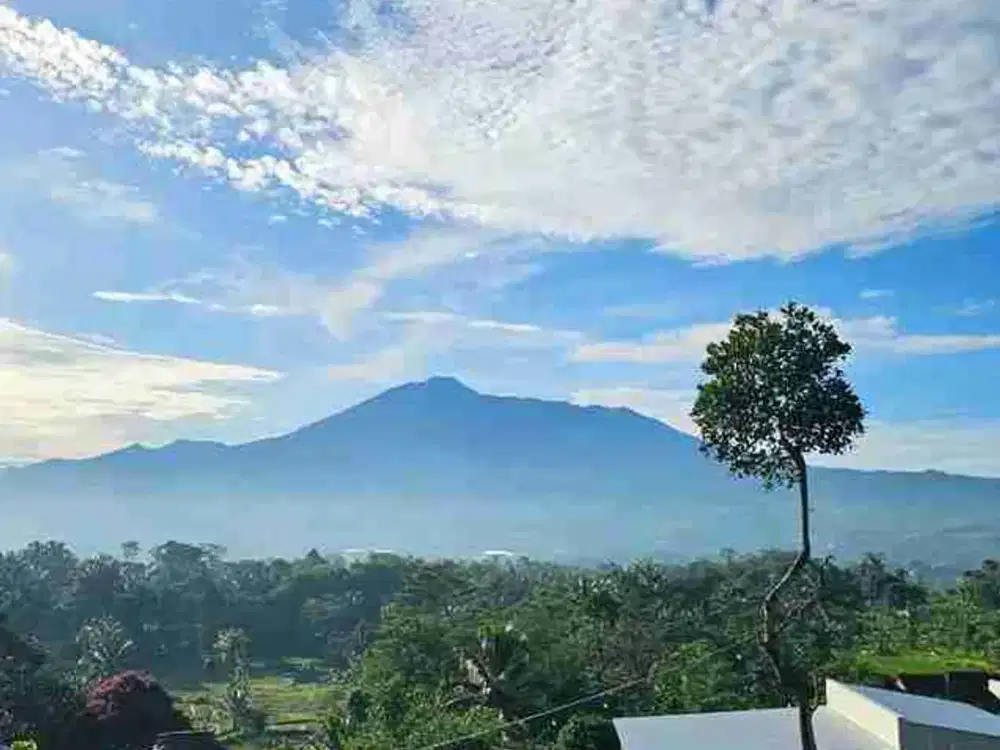 Dijual Villa Kebun di Cigombong Bogor