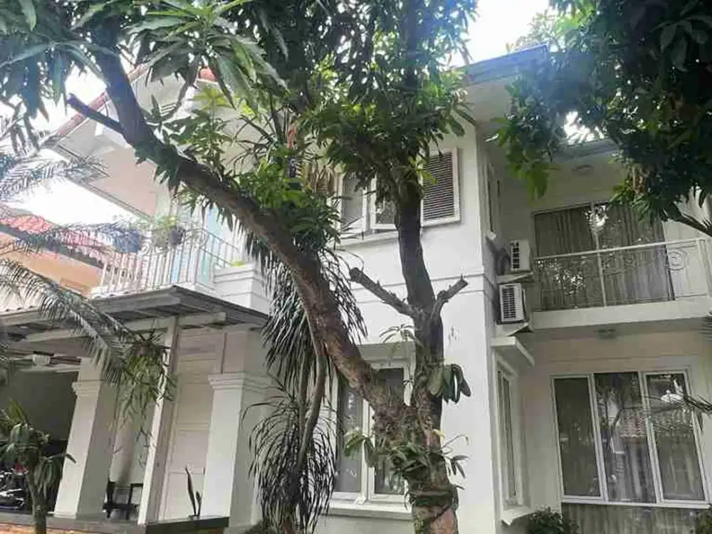 Luxurious & Hommy: Hunian Premium BSD City dengan Solar Panel & Halaman Luas