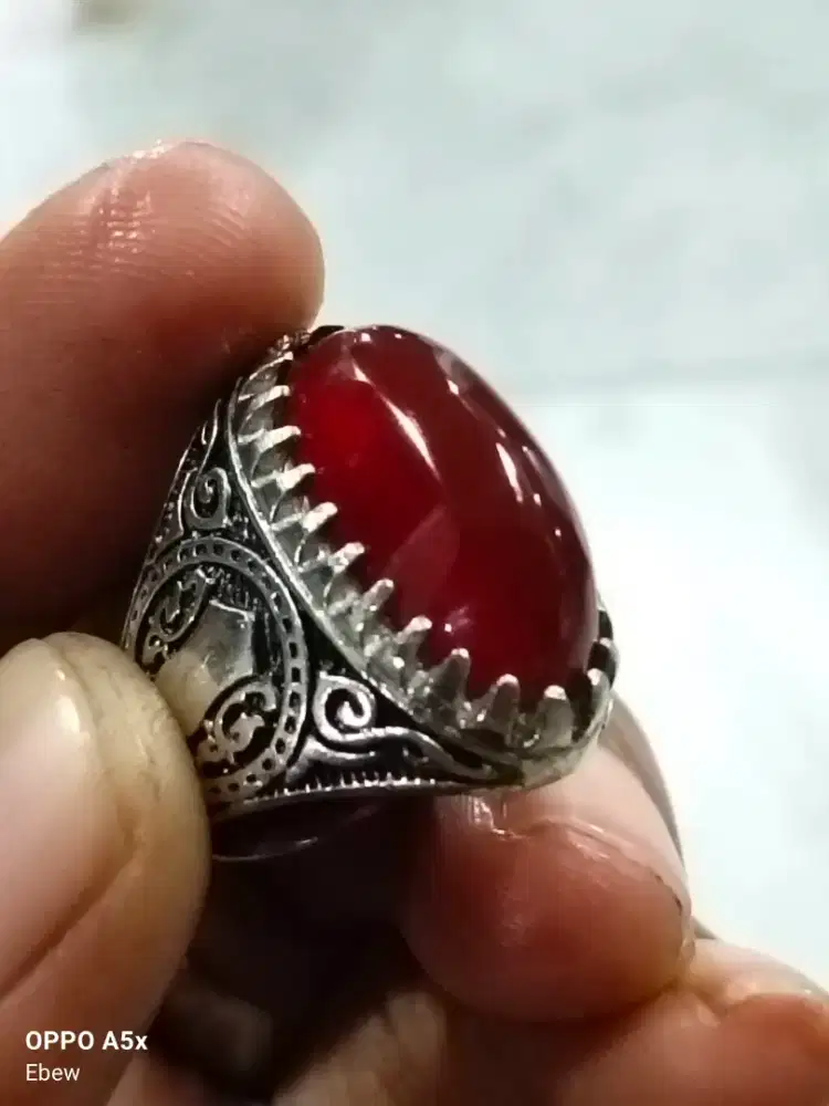 Batu raflesia Bengkulu