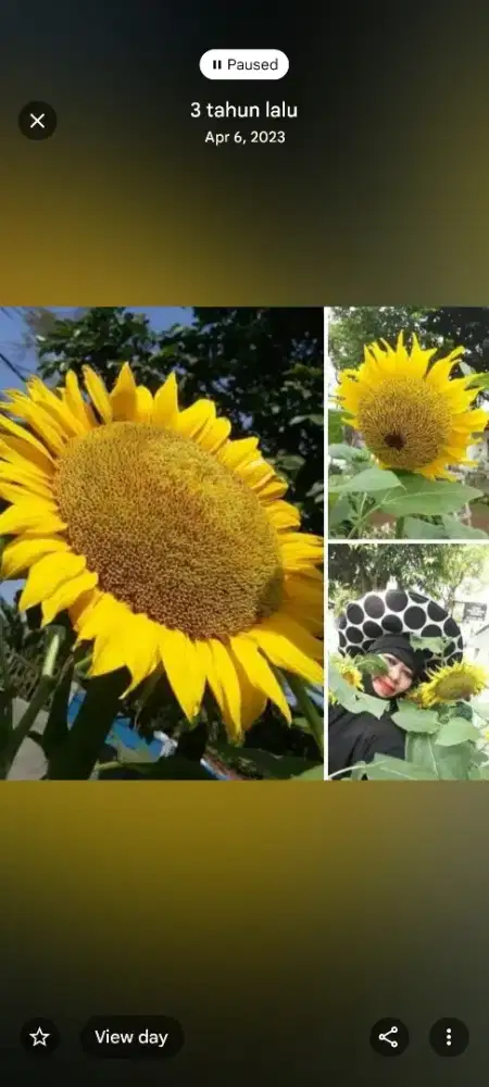 Jasa pemborong rumah Baru Dan renovasi