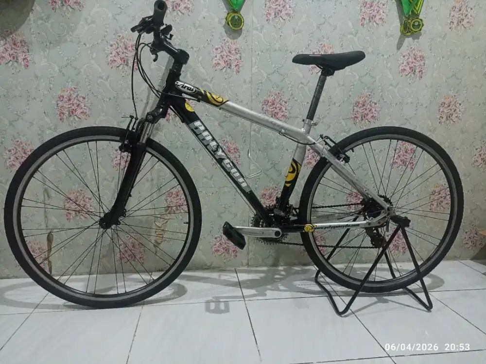 Polygon Vintage Hybrid ban 700 x38c